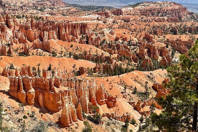 Small Group Day Tour To Explore Bryce Canyon & Zion National Park - Frequently Asked Questions