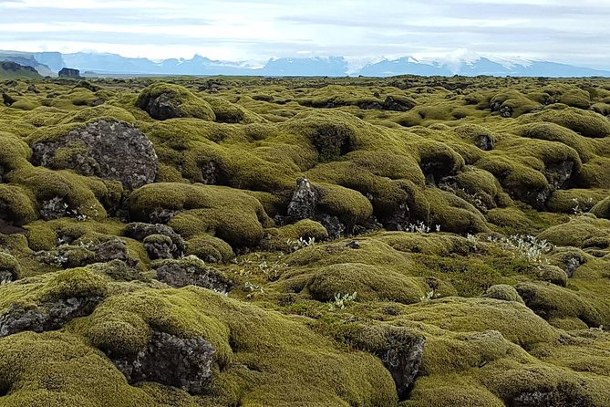 Small Group Day Tour to Lakagigar Volcano by Super Jeep From Klaustur - Highlights of the Tour