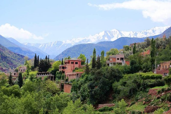 Small Group Day Tour to Ourika Valley From Marrakech - About Your Stay