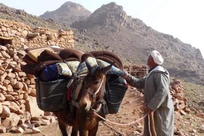 Small Group Day Tour to Ourika Valley From Marrakech - Reviews and Feedback