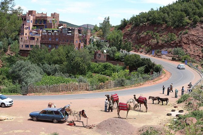 Small Group Day Tour to Ourika Valley From Marrakech - What to Bring