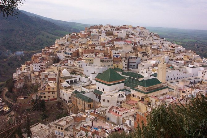 Small Group : Day Trip From Fez to Volubilis & Meknes - Inclusions and Exclusions