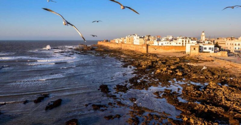 Small Group: Day Trip From Marrakech To Essaouira Mogador - Recommended Items