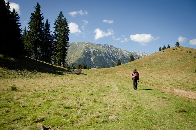 Small-Group Day Trip in Romanian Authentic Mountain Villages From Brasov - Lunch at Historic Guesthouse