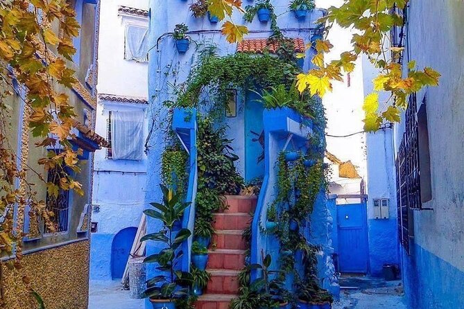 Small Group Day Trip to Chefchaouen From Fez - Reviews and Ratings