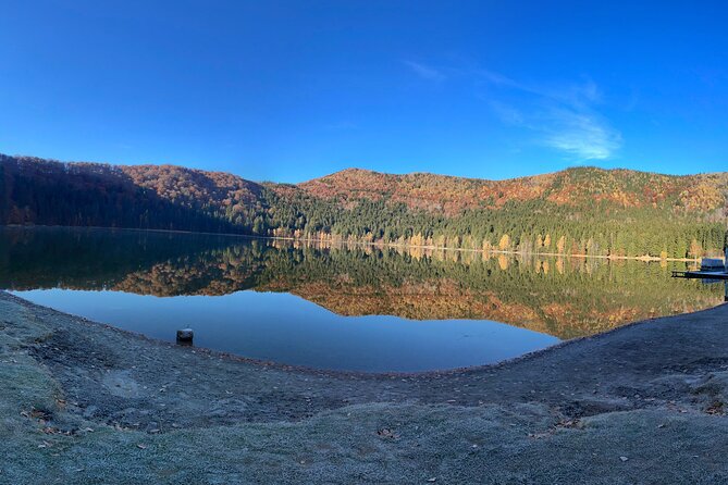 Small-Group Day Trip to the Unique Volcanic Lake in Eastern Europe - Wildlife Encounters