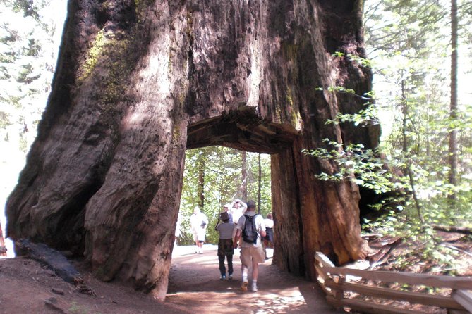 Small-Group Day Trip to Yosemite From Lake Tahoe - Highlights of Yosemite National Park