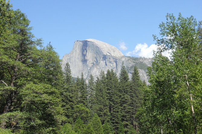 Small-Group Day Trip to Yosemite From Lake Tahoe - Cancellation Policy
