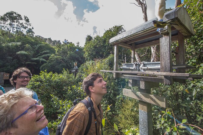 Small Group Daytime 2-Hour Eco Wildlife Tour at Zealandia - Wildlife Experience