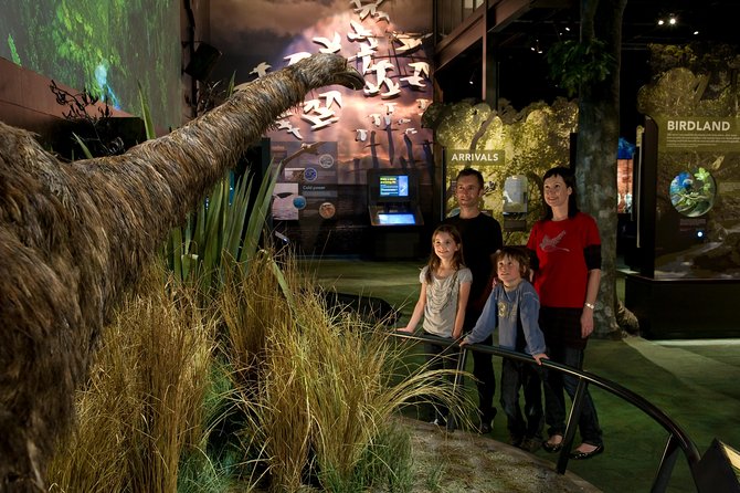 Small Group Daytime 2-Hour Eco Wildlife Tour at Zealandia - Accessibility and Additional Information