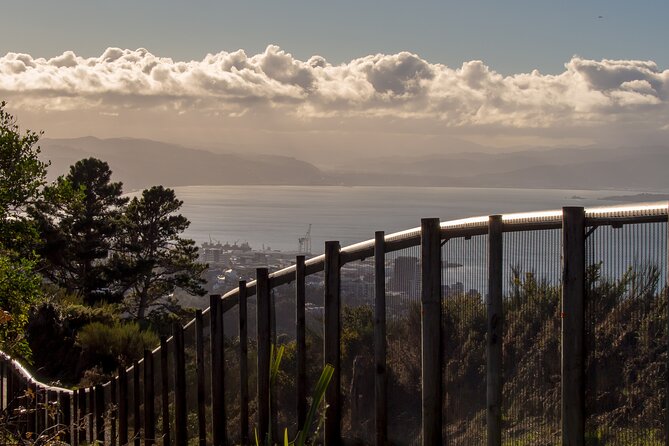 Small Group Daytime 2-Hour Eco Wildlife Tour at Zealandia - Conservation Efforts