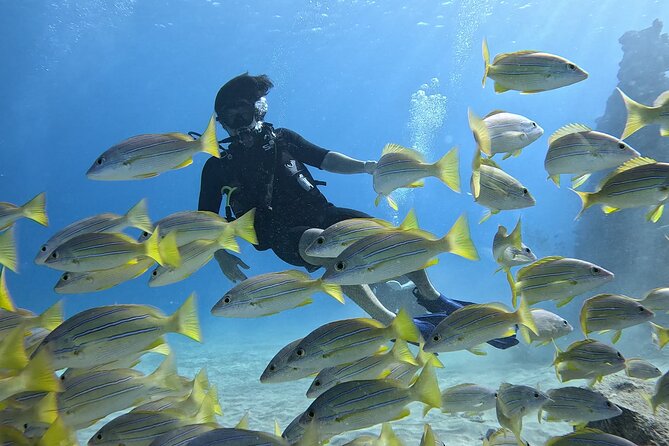 Small Group Discover Scuba Diving From Electric Beach With Photos - Key Points
