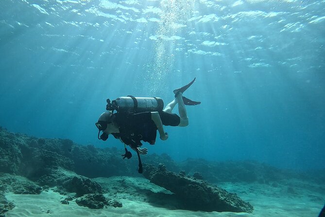 Small Group Discover Scuba Diving From Electric Beach With Photos - Meeting Point and Logistics