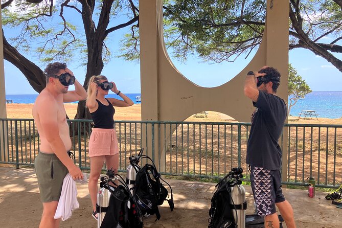 Small Group Discover Scuba Diving From Electric Beach With Photos - Highlights of the Underwater Experience