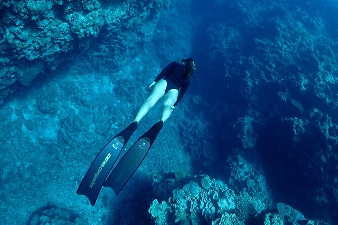Small Group Diving Activity in Miyakojima - Meeting and Pickup