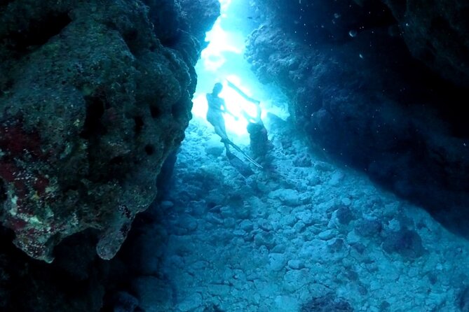 Small Group Diving Activity in Miyakojima - Health and Safety Requirements