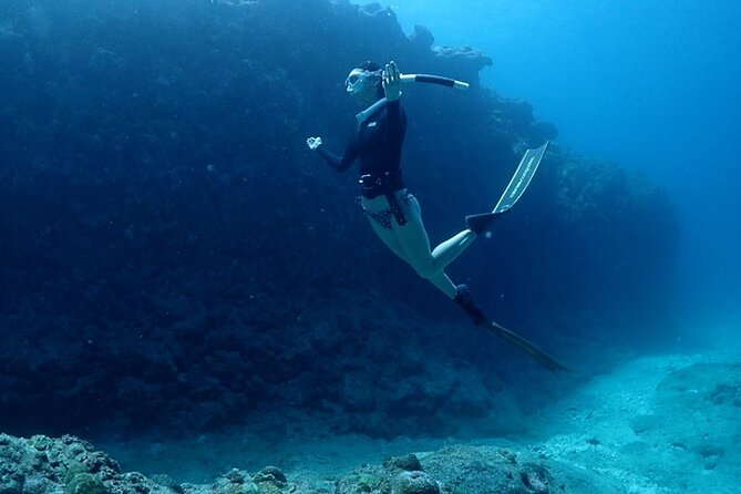 Small Group Diving Activity in Miyakojima - Exploring the Wonders of Miyakojima