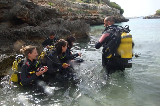 Small Group Diving Adventure in Menorca - Start and End Times