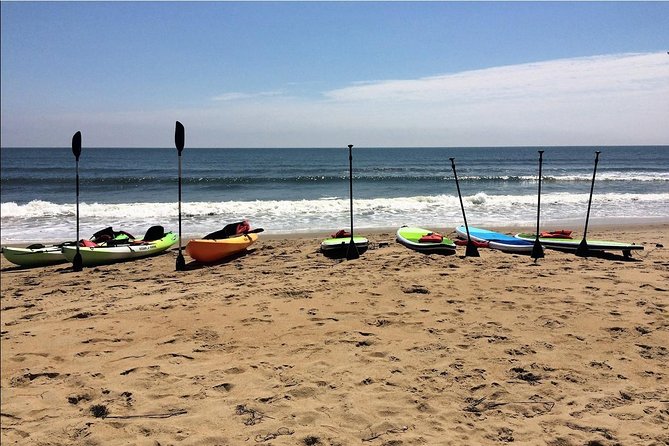 Small Group Dolphin Kayak Eco-Tour - Itinerary and Highlights