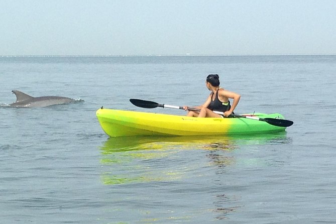Small Group Dolphin Kayak Eco-Tour - Suitable for All Skill Levels