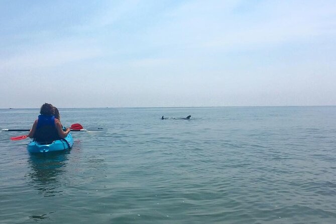 Small Group Dolphin Kayak Eco-Tour - Duration and Group Size