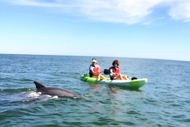 Small Group Dolphin Kayak Eco-Tour - Tour Inclusions