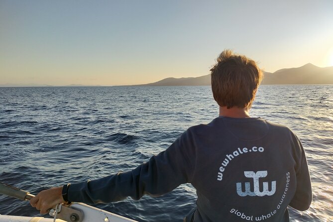Small Group Dolphin Sunset Tour on Electric Catamaran Lanzarote - Meeting Point and Pickup
