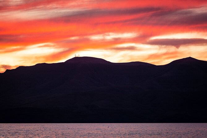 Small Group Dolphin Sunset Tour on Electric Catamaran Lanzarote - Confirmation and Participation