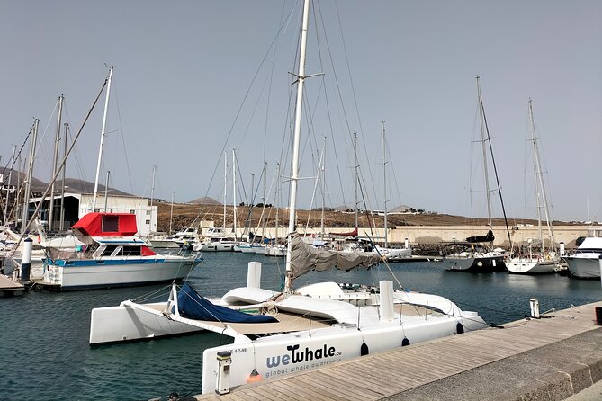 Small Group Dolphin Sunset Tour on Electric Catamaran Lanzarote - Cancellation Policy