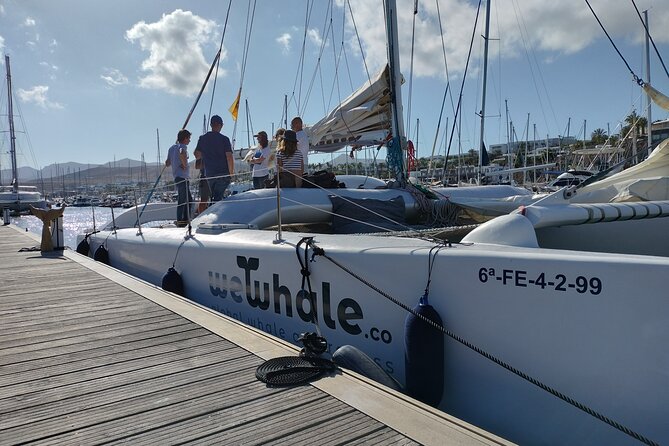 Small Group Dolphin Sunset Tour on Electric Catamaran Lanzarote - Frequently Asked Questions