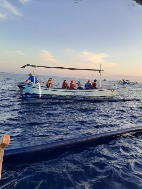 Small Group Dolphin Tour, Sunrise, Swim With Dolphin Lovina - Inclusions