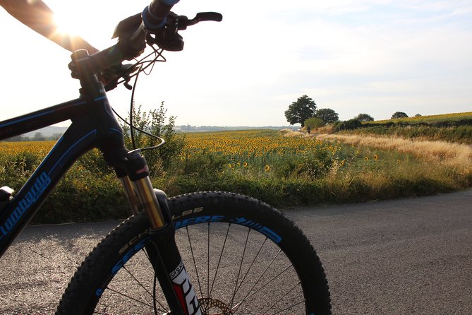 Small Group E-Bike Chianti Tour With Farm Lunch From Siena - Traveler Requirements