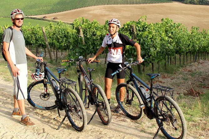 Small Group E-Bike Chianti Tour With Farm Lunch From Siena - Enjoy Traditional Meal and Wine