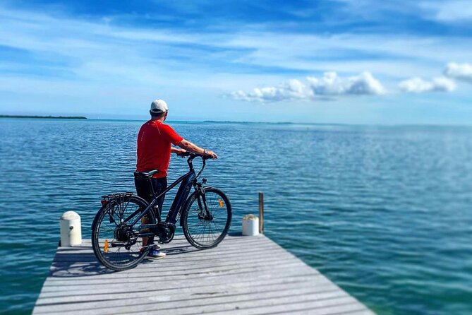 Small Group E-Bike Grand Cayman Ecological Half-Day Tour - Biking Experience