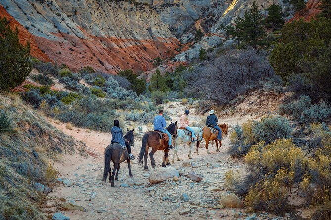 Small-Group East Zion White Mountain Horseback Ride - Safety Precautions