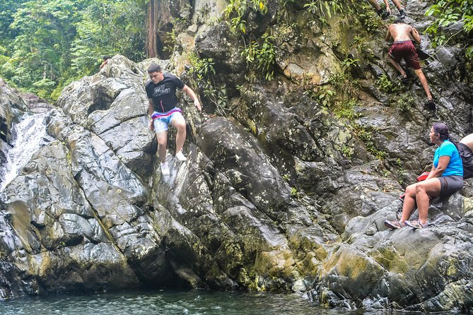 Small-Group El Yunque Rainforest Vivid Day Tour With Transport - Cancellation and Booking Information