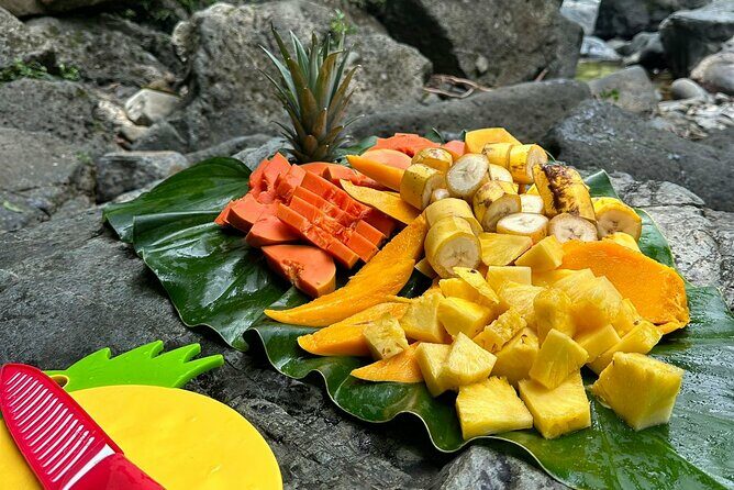 Small-Group El Yunque Rainforest with Transport Half Day - Frequently Asked Questions