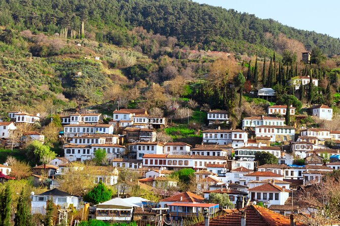Small Group Ephesus & Sirince Village Tour From Kusadasi / Selcuk Hotels - Highlights of Ephesus