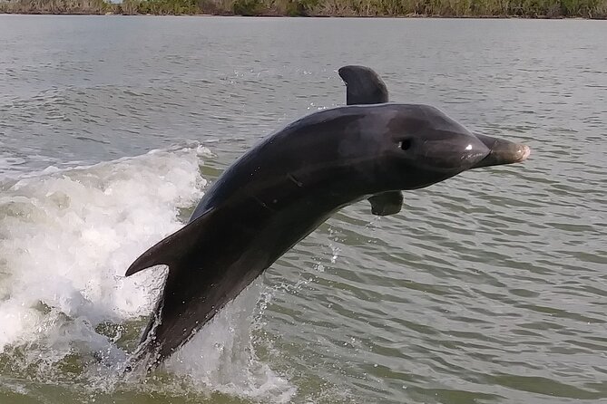Small-Group Everglades Boating Kayaking and Walking Eco Tour - Additional Information