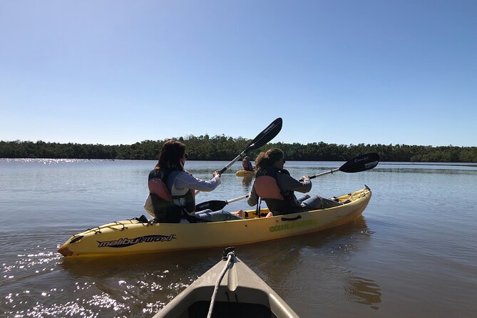 Small-Group Everglades Boating Kayaking and Walking Eco Tour - Exploring Diverse Ecosystems