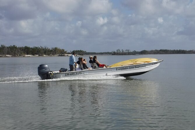 Small-Group Everglades Boating Kayaking and Walking Eco Tour - Walking Tour Experience