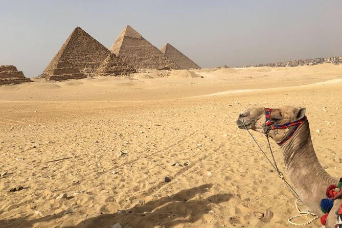 Small Group Excursion to Cairo From Hurghada - Cancellation Policy