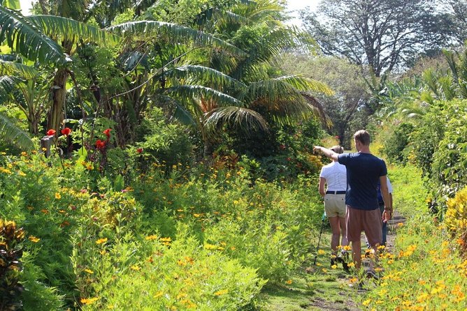 Small-Group Expedition of Ometepe Highlights With El Ceibo Museum - Highlights of Ometepe