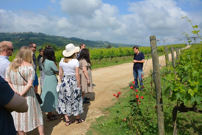 SMALL GROUP Experience Cheese & Chianti Visit Dairy & 3 Wineries - Exploring the Cheese and Chianti
