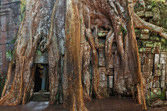 Small-Group Explore Angkor Wat Sunrise Tour With Guide From Siem Reap - Pickup and Schedule