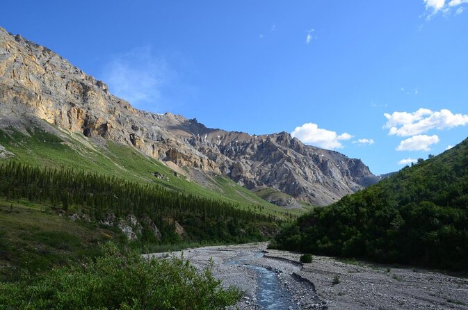 Small-Group Flight Denali National Park Tour With Guided Hike - Key Points