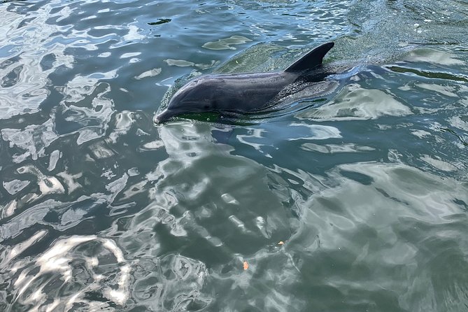 Small Group Florida Keys Eco Tour by Boat - Inclusions and Refreshments