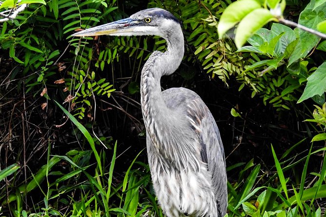 Small Group Florida Keys Eco Tour by Boat - Cancellation Policy