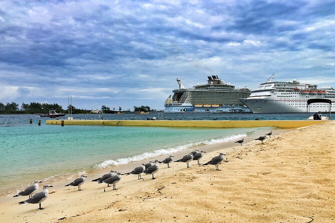 Small Group Fort Lauderdale&Palm Beach Day Tour From Miami FL - Optional Lion Country Safari