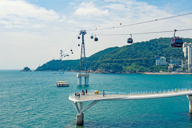 Small Group Full Day Busan Tour (Max 6 Pax) - Jagalchi Fish Market